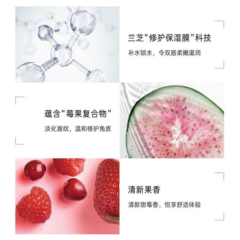 Korean Lan Zhi Lip Mask20g Night Repair Moisturizing Lip Balm3g Moisturizing and Hydrating Strawberry Jelly Lip Mask